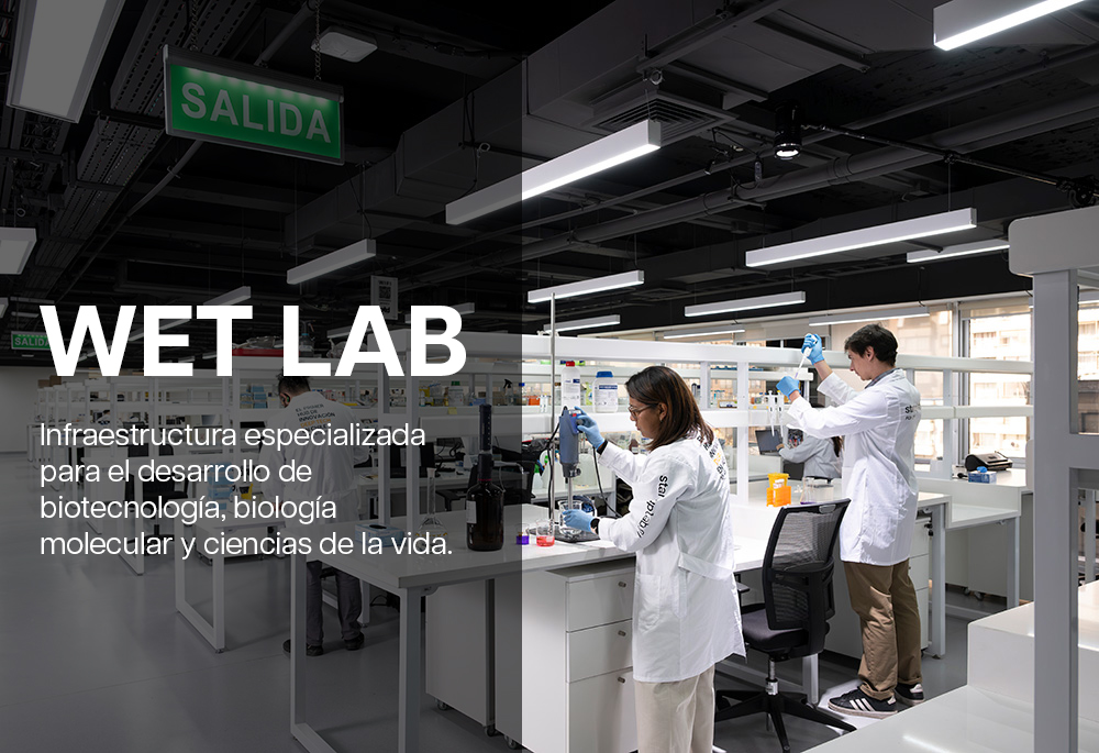 wet-lab-final