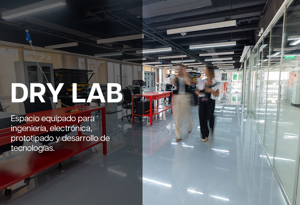 dry-lab